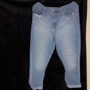 Signature by Levi Strauss Blue  Cropped Jeans